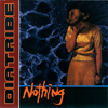 Diatribe - Nothing